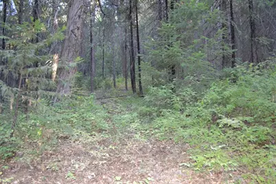 0 Lodestone Road, Somerset, CA 95684 - Photo 6