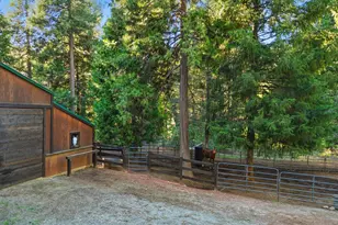 11234 Valencia Rd, Nevada City, CA 95959 - Photo 54