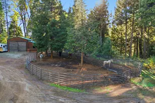 11234 Valencia Rd, Nevada City, CA 95959 - Photo 52