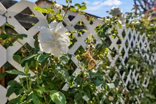 7513 Blue Bell Cir, Sacramento, CA 95829 - Photo 50