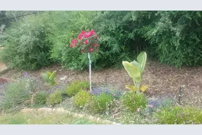 9028 Burr Street, Oakland, CA 94605 - Photo 40