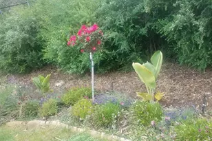 9028 Burr St, Oakland, CA 94605 - Photo 40