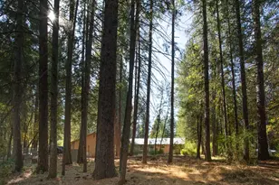 8945 Holmes Way, Brownsville, CA 95919 - Photo 18