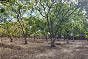 700 Wellsford Rd, Modesto, CA 95357 - Photo 46