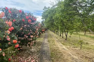 700 Wellsford Rd, Modesto, CA 95357 - Photo 4