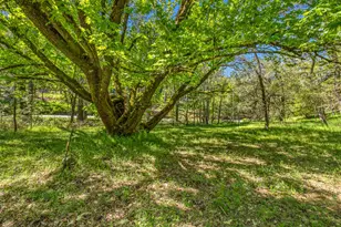 16080 Mount Whitney, Fiddletown, CA 95629 - Photo 66