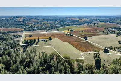 12551 Steiner Road, Plymouth, CA 95669 - Photo 4