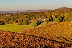 12551 Steiner Rd, Plymouth, CA 95669 - Photo 6