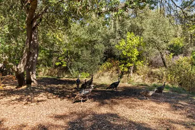 6909 Monticello Court, Citrus Heights, CA 95621 - Photo 32