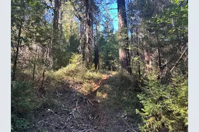 2936 Independence Road, Rail Road Flat, CA 95245 - Photo 14