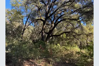 16272 Highway 26, Glencoe, CA 95232 - Photo 22