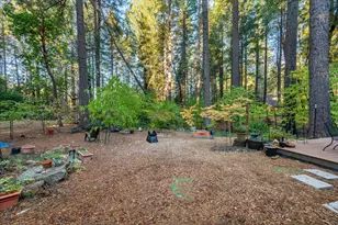 12864 Spanish Ln, Nevada City, CA 95959 - Photo 56