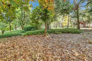 12840 Butterfly Dr, Nevada City, CA 95959 - Photo 94