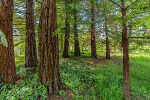 10690 White Oak Rd, Plymouth, CA 95669 - Photo 54