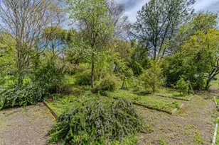 10690 White Oak Rd, Plymouth, CA 95669 - Photo 64