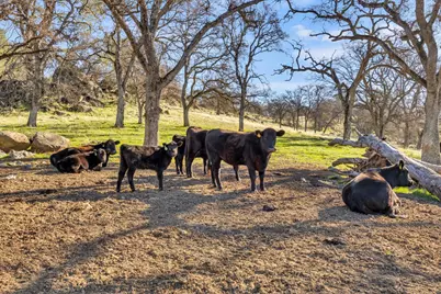 23443 Corino Way, Grass Valley, CA 95949 - Photo 20
