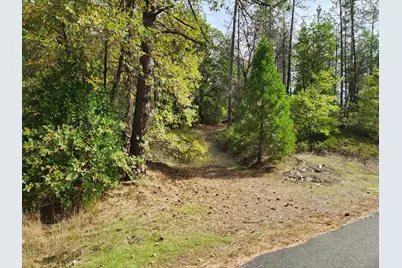 13786 Moonshine Road, Camptonville, CA 95922 - Photo 8