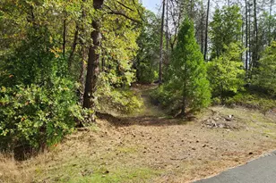 13786 Moonshine Rd, Camptonville, CA 95922 - Photo 8