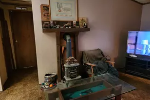 13786 Moonshine Rd, Camptonville, CA 95922 - Photo 50