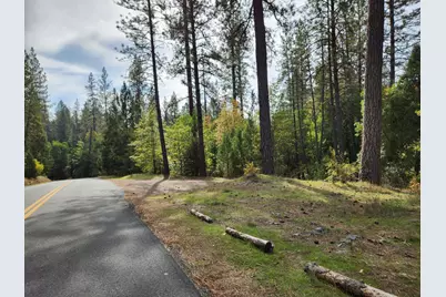13786 Moonshine Road, Camptonville, CA 95922 - Photo 10
