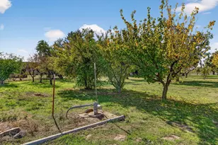 8617 S Butte Rd, Sutter, CA 95982 - Photo 52