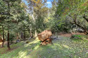 10046 Smith Rd, Grass Valley, CA 95949 - Photo 40