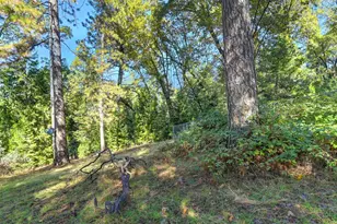 6584 Green Leaf Ln, Foresthill, CA 95631 - Photo 58