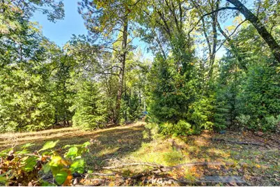 6584 Green Leaf Lane, Foresthill, CA 95631 - Photo 56