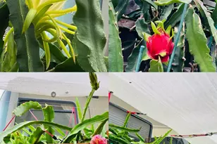 1059 Harvest Mill Dr, Manteca, CA 95336 - Photo 22