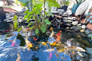 1059 Harvest Mill Dr, Manteca, CA 95336 - Photo 28