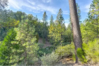 26355 Barb Wire Lane, Colfax, CA 95713 - Photo 14