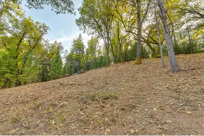 26355 Barb Wire Lane, Colfax, CA 95713 - Photo 22