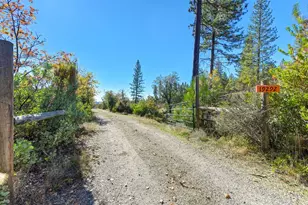 19292 Shawnee Trail, Mokelumne Hill, CA 95245 - Photo 4