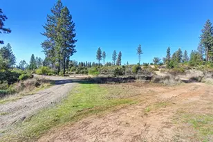 19292 Shawnee Trail, Mokelumne Hill, CA 95245 - Photo 30