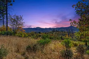 19292 Shawnee Trail, Mokelumne Hill, CA 95245 - Photo 20