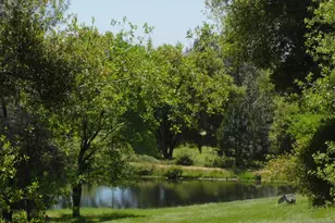 5383 Dream Ranch Cir, Placerville, CA 95667 - Photo 60