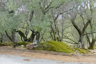 5383 Dream Ranch Cir, Placerville, CA 95667 - Photo 66