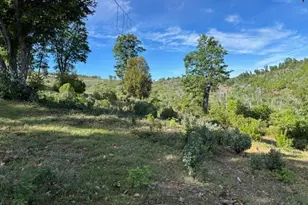 3745 Paramae Rd, Rail Road Flat, CA 95248 - Photo 92