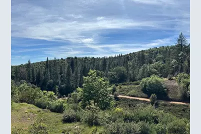 3745 Paramae Road, Rail Road Flat, CA 95248 - Photo 88