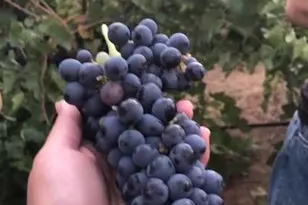 5205 Rooster Ln, Somerset, CA 95684 - Photo 90