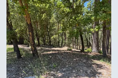 20945 Todd Valley Road, Foresthill, CA 95631 - Photo 4