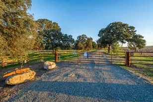 664 Perkins Rd, Arbuckle, CA 95912 - Photo 70