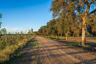 664 Perkins Rd, Arbuckle, CA 95912 - Photo 68