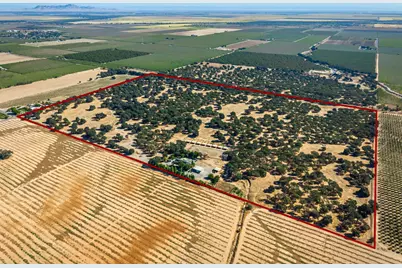 664 Perkins Road, Arbuckle, CA 95912 - Photo 76