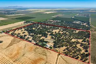 664 Perkins Rd, Arbuckle, CA 95912 - Photo 76