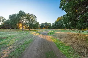 664 Perkins Rd, Arbuckle, CA 95912 - Photo 64