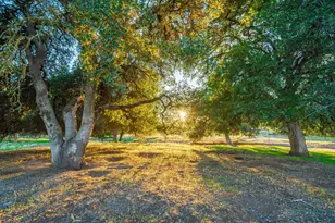 664 Perkins Rd, Arbuckle, CA 95912 - Photo 62