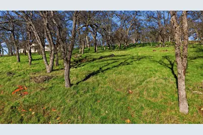 6725 Western Sierra Way, El Dorado Hills, CA 95762 - Photo 12