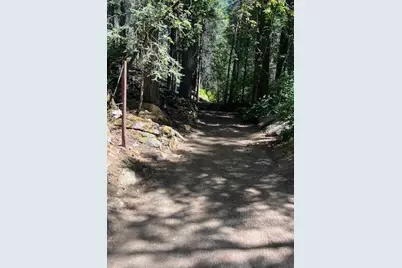 10192 Bull Creek Road, Pollock Pines, CA 95726 - Photo 36