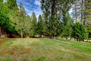 16303 Jewett Ln, Grass Valley, CA 95945 - Photo 68